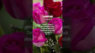 Download Lagu #assalammualaikum MP3