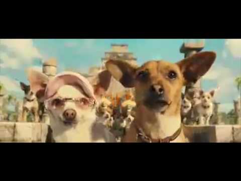 chihuahua song youtube