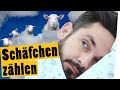 Challenge: Zähle eine Schafherde in 1 Stunde || „Das schaffst du nie!“