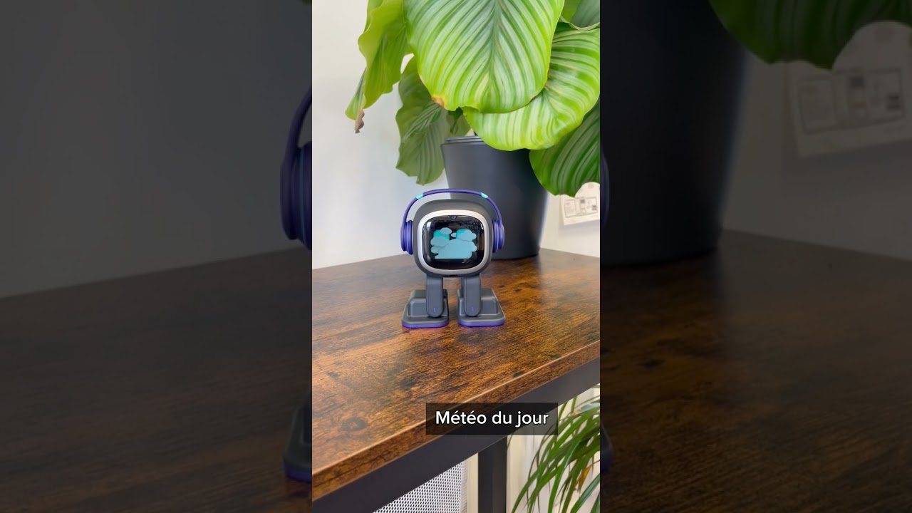 Robot de compagnie EMO LIVING.AI assistant à la personne (anglais /  français) - Leobotics