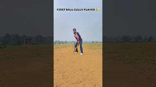 Professional Player Vs Gully Playre