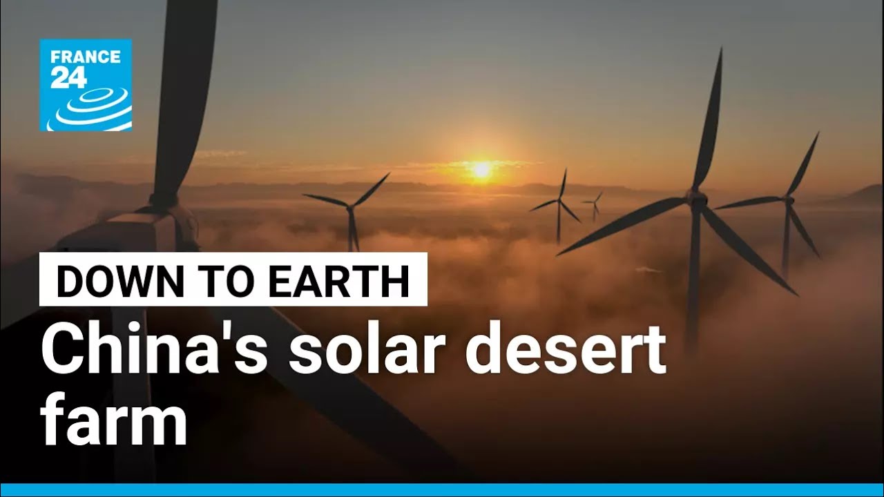Solar desert power: Inside China's mega farm • FRANCE 24 English