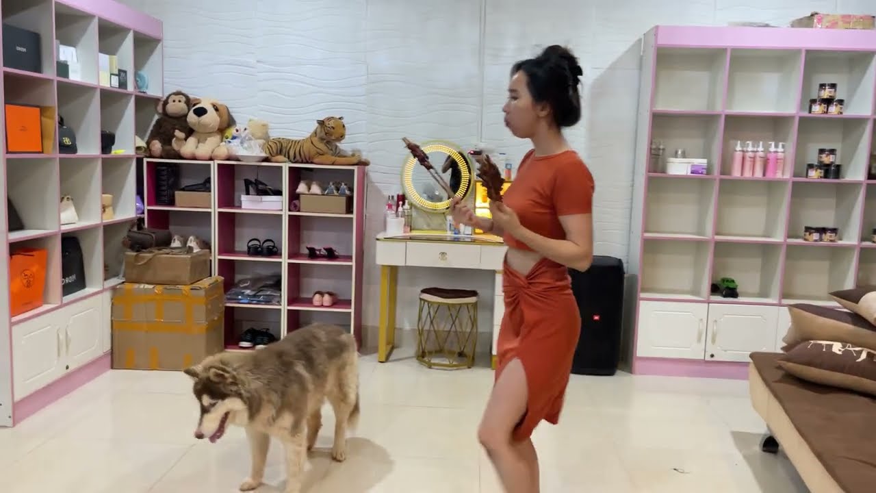 Ah Ha!!Kwan SUPER PRANK TOTO,Finally what will happen? When Kwan eating favorite food in front TOTO