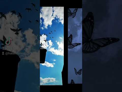 خلفيات بنات غيوم