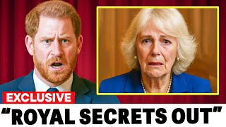 Prince Harry EXPOSES Secret Meeting With Camilla Before His Memoir Release