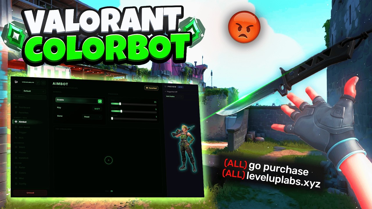 Valorant Colorbot used by RADIANTS 🤯 (Setup + Showcase) - Leveluplabs ...