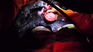 Menpachi and Aweoweo Fishing Big Island Hawaii Part 2