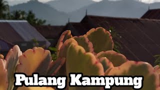 Pulang Kampung