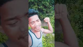 Bardor Song Virel Reels