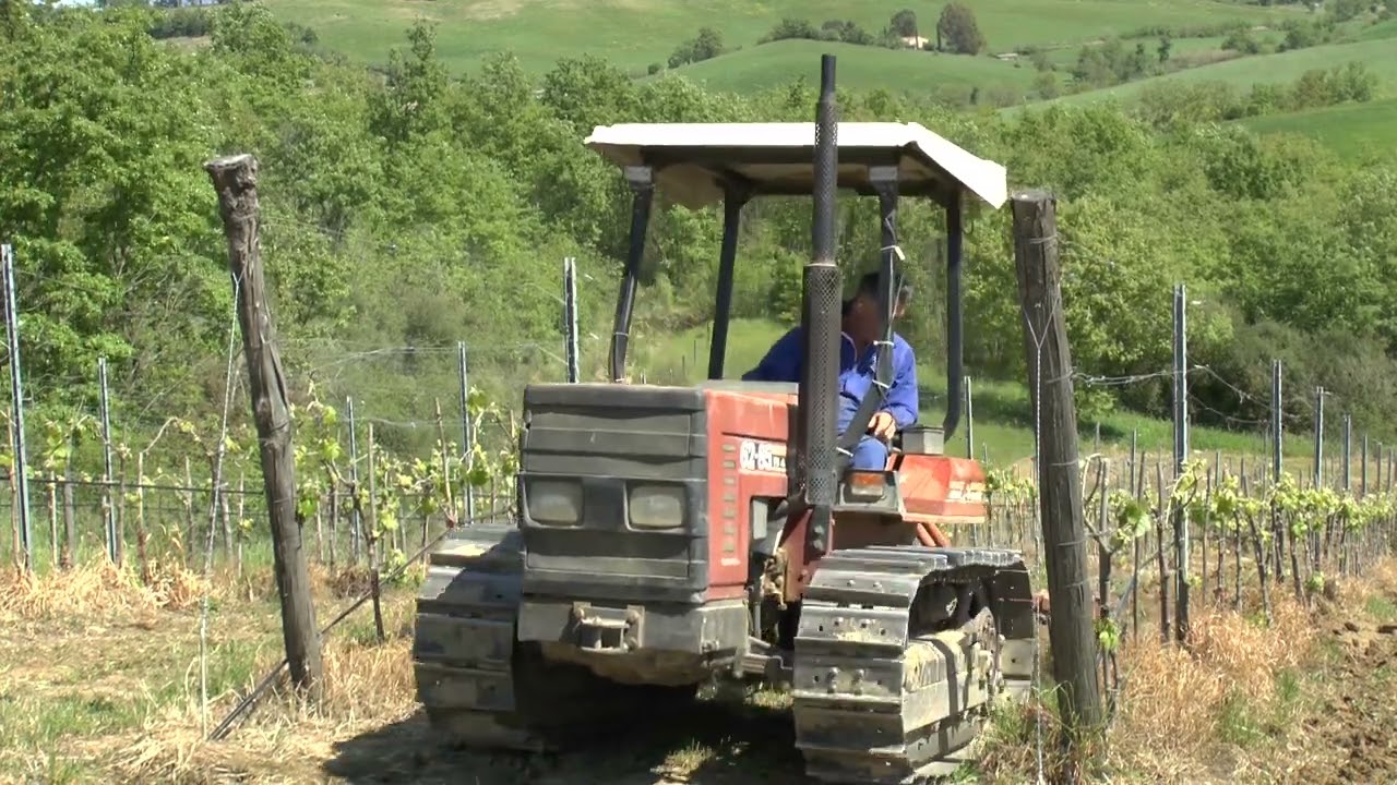 lavorazione meccanica intrafilare del vigneto da "Le Antiche Dogane" di Aldo Sara Editore