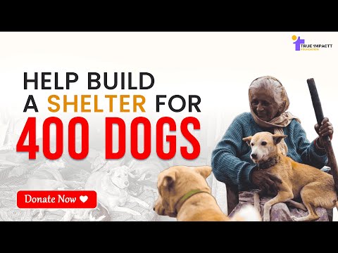 Campaign story video