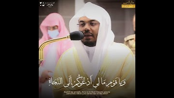 {وانا أدعوكم} •|• من اجمل التلاوات للشيخ ياسر الدوسري-روائع الآسر-