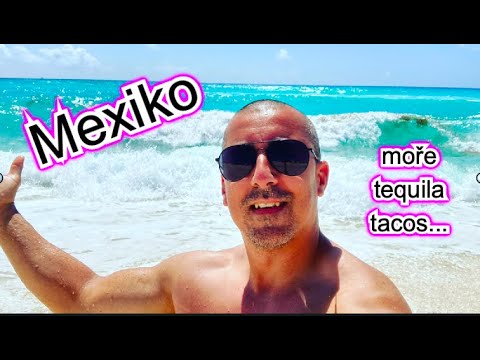 Video: Jak velké jsou mexické palmy?