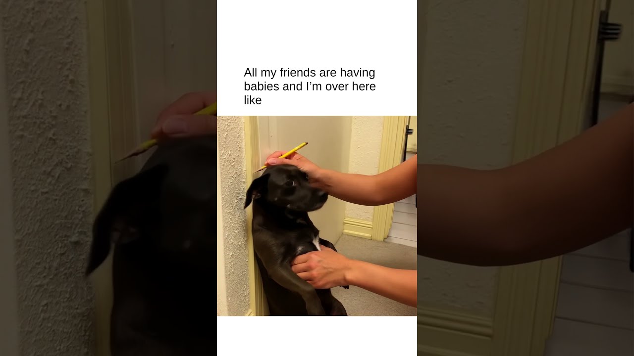 Can Anyone Relate To This 