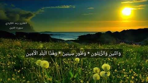 سورة التين ~ القارئ رعد محمد الكردي