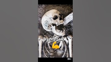 كل نفس ذائقة الموت 🤲#تلاوة_خاشعة #قرآن