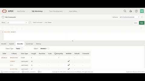 Using SQL Commands in Oracle APEX: Write, Run and Save SQL statements