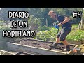 Diario De Un Hortelano #4 - Como Preparar Un Bancal Y Plantar Kale Y Coliflor || La Huertina De Toni