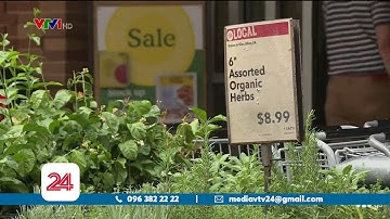 Các tập Tâp đoàn bán lẻ thế giới chinh phục thị trường bán hang thực phẩm tươi sống online | VTV24