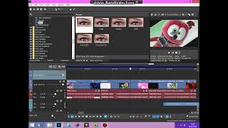 How to make Wake Up Effect Accurately on Sony Vegas Pro