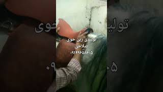 تولیدی زین اسب چرم شتری بهترین کیفیت قیمت مناسب خوی صلاحی تعداد عمده و خرده ارسال به تمام ایران سمعها