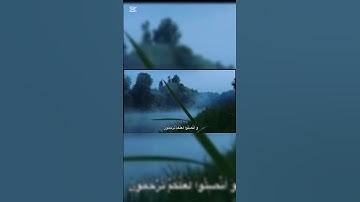تلاوة من سورة الأعراف القارئ عبد الباسط عبد الصمد