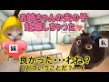 【スカッと猫ミーム】社長になった夫を略奪した妹「妊娠した」→私が去った後の末路が悲惨 #猫ミーム