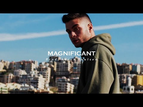 Jamule x Tyga Type Beat - Magnificant [Prod. Aaron Poulsen]