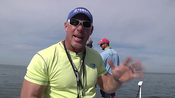 Qual è il simbolo della Florida?