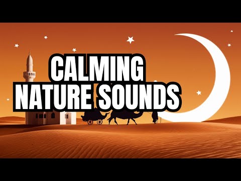 Calming Desert Storm: Nature Sounds for Relaxation