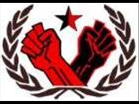 Brigada Flores Magon - RASH acordes