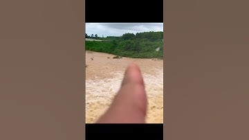 Câu cá mùa mưa lũ  #câu cá quảng bình #sông dinh