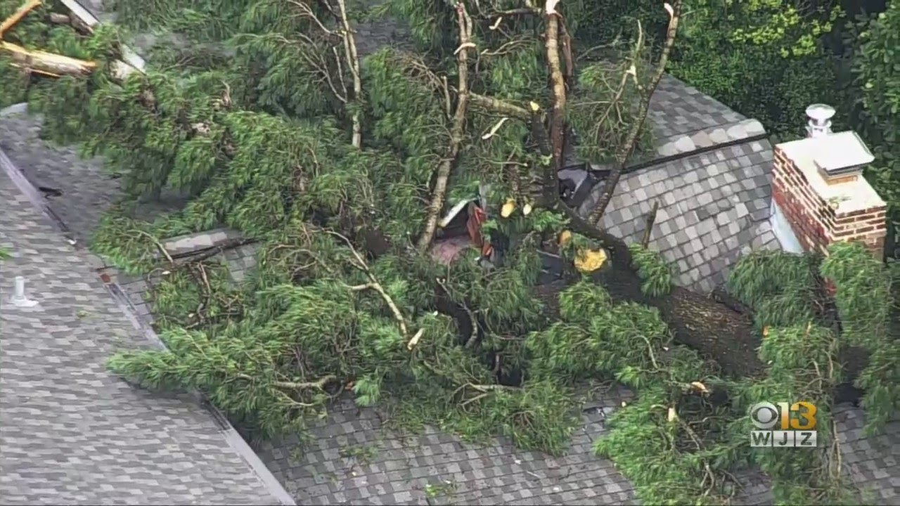 Maryland Weather: Tree Falls Into Home As Storms Move Across Region ...