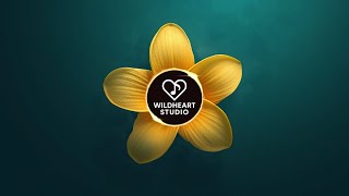 Florune Calmvector – Tropical Music Loop 90 Minute