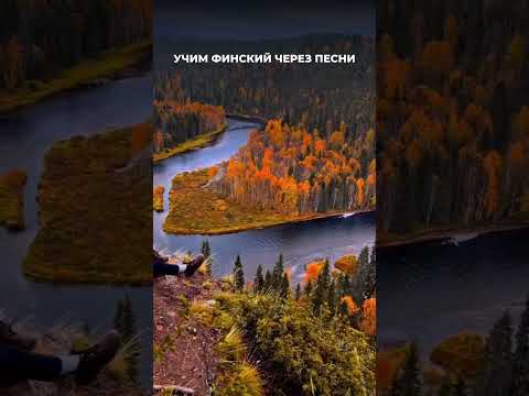 Учим финский по песням