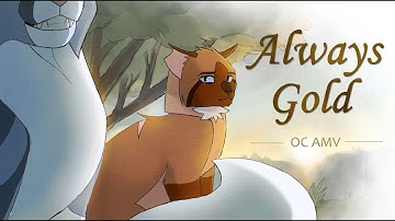 Always Gold | Warrior Cats AMV || OC [BLOOD WARNING]
