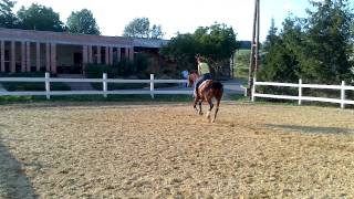 2013. Július 10. Gina 1824