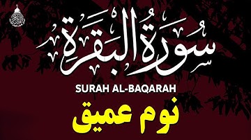 سورة البقرة كاملة مكتوبة لطرد الشياطين وحفظ وتحصين المنزل 💚💤 تلاوة هادئة  للنوم والراحة النفسية 😴