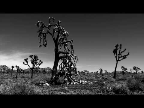 Joshua Tree - Sony PMW-EX1 HD Camera Test