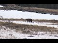 Hiking West of the Yellowstone Boundary - May 1, 2020