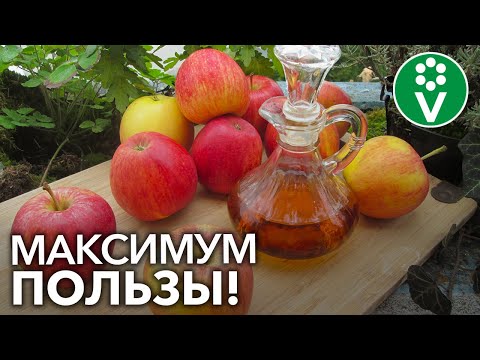 СЕКРЕТЫ ПРИГОТОВЛЕНИЯ ЯБЛОЧНОГО УКСУСА. Эти нюансы сделают УКСУС полезным и вкусным!