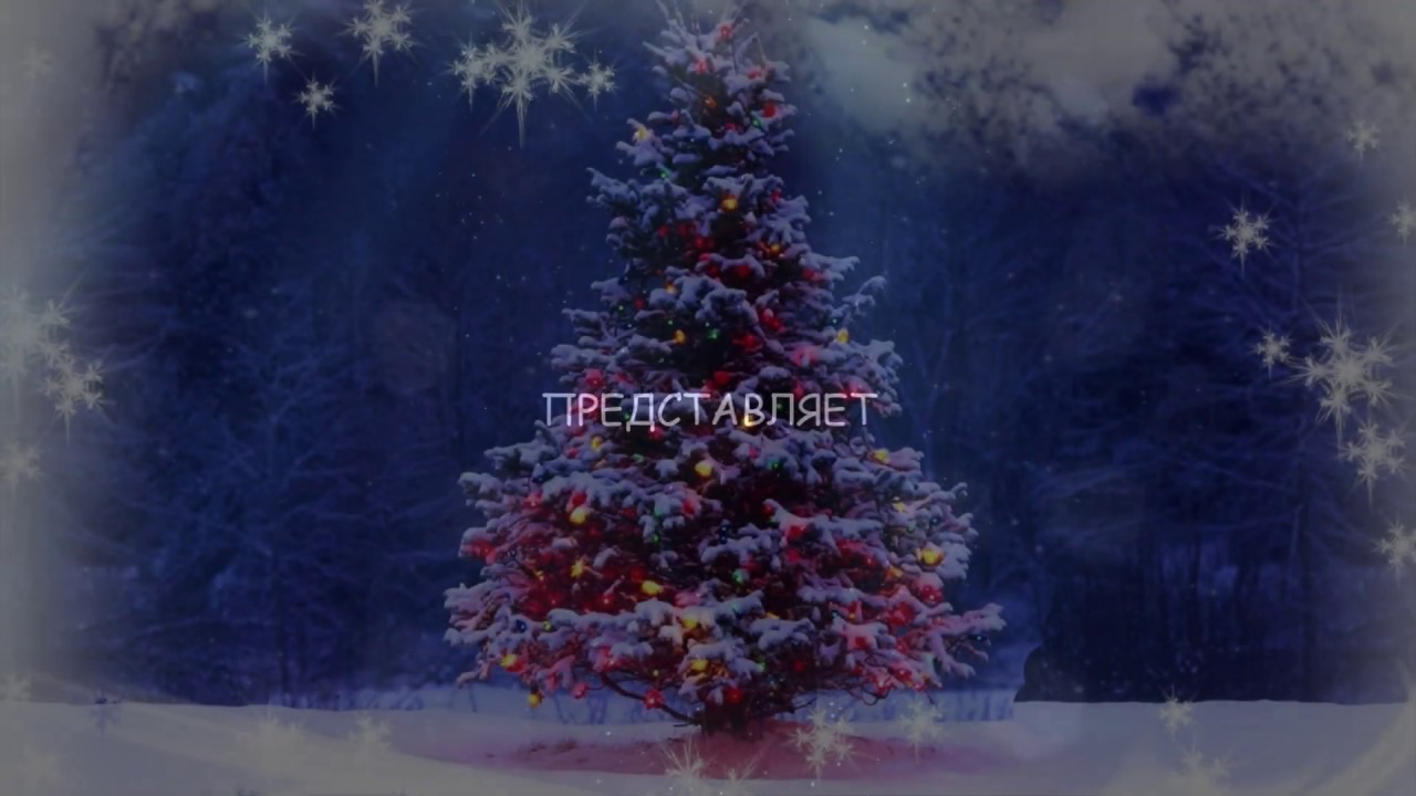 ПРАЗДНИК У ПУШИСТОЙ ЁЛКИ - YouTube