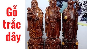 Gỗ trắc dây là gì?