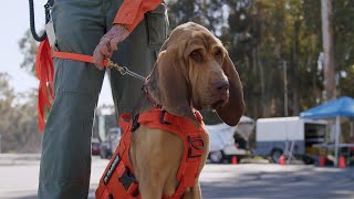 SAR Training - San Diego County Sheriff's Department