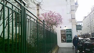 she’s in spring