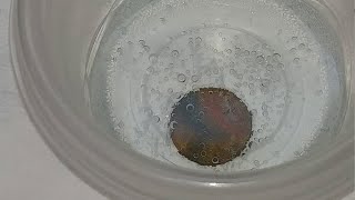Removing that green corrosion off a wheat cent