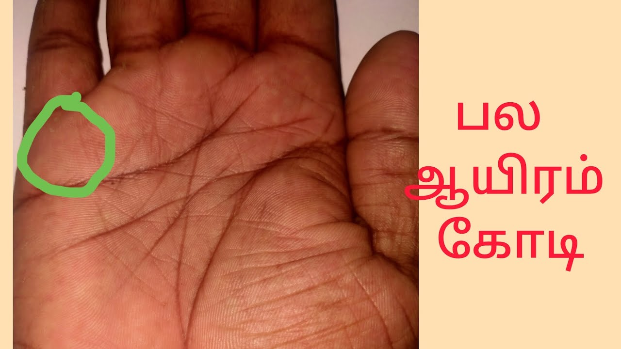 பல ஆயிரம் கோடி சம்பாதிக்கும் வாய்ப்பு புதன் மேடுll palmistryvideo llastrology கைரேகை ஜோதிடம்