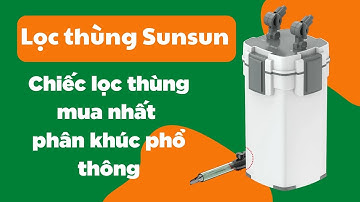 Review lọc thùng Sunsun XWA và những thông tin rất hữu ích bạn cần biết