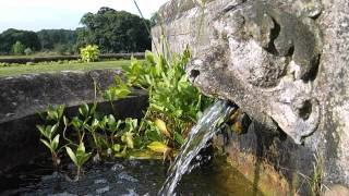 Fujifilm FinePix T400 Digital Camera Review | ePHOTOzine