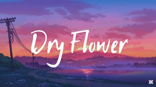 優里 Yuuri - Dry Flowerドライフラワー Cover By Harutya Lyrics Video